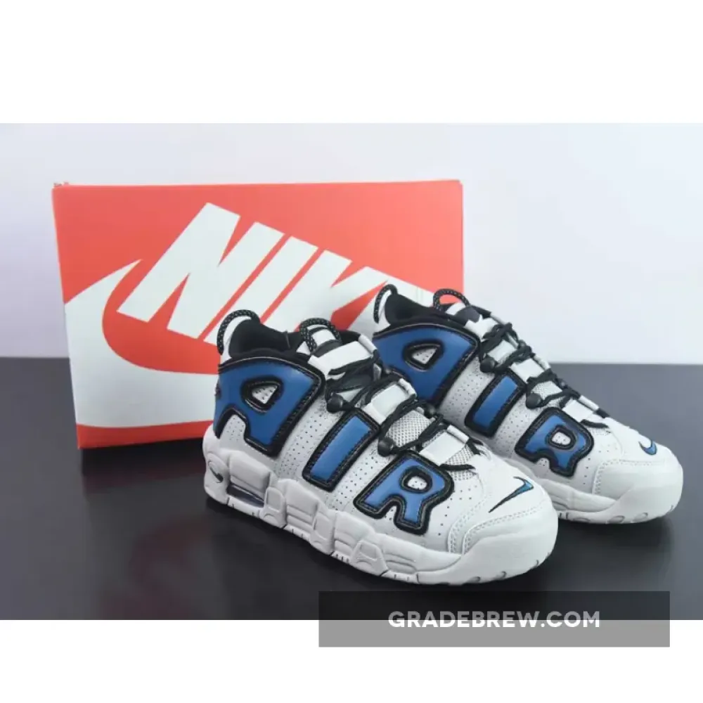 Nike Air More Uptempo Light Iron Ore/Industrial Blue FD5573-001