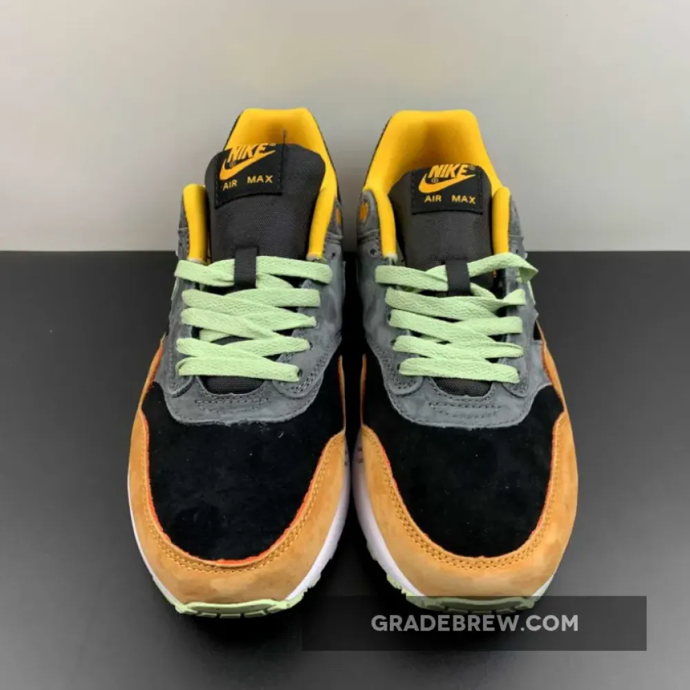 Nike Air Max 1 Ugly Duckling Kumquat/Anthracite/Honeydew DZ0482-001
