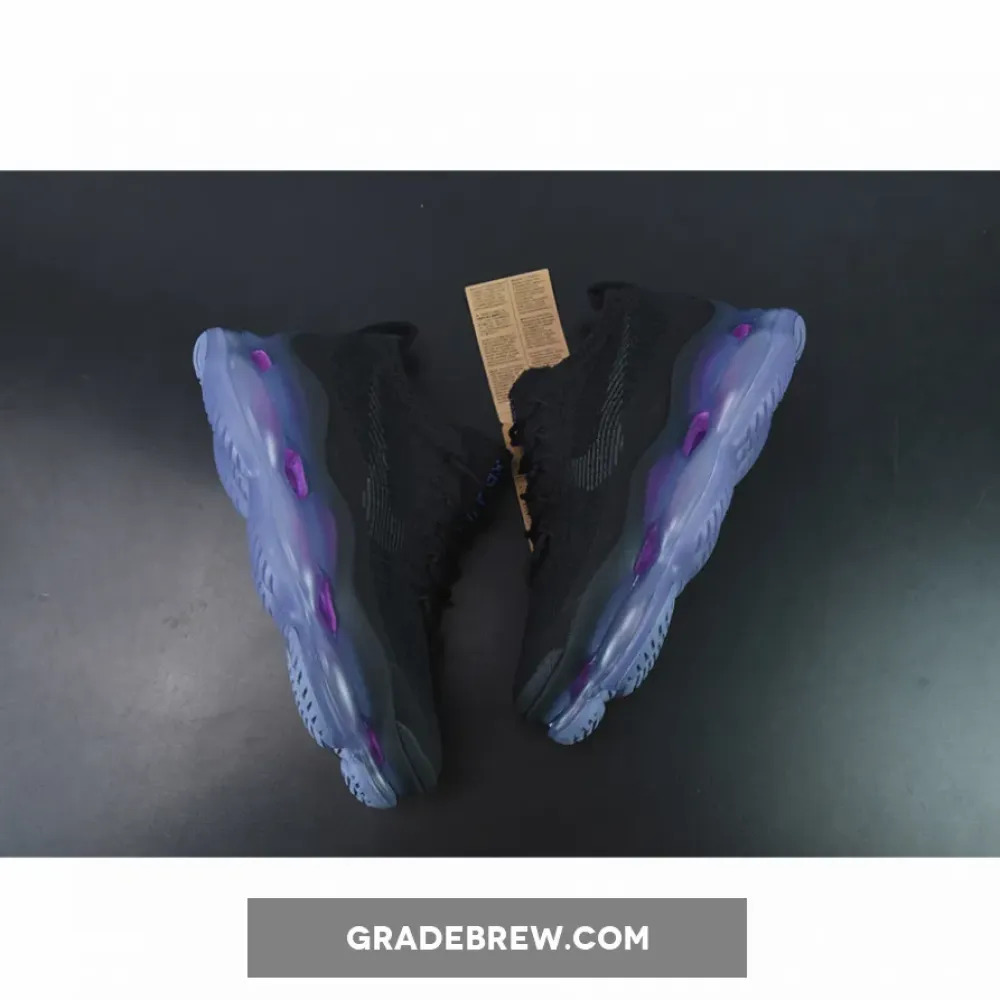 Nike Air Max Scorpion Black/Purple  DR0888-001